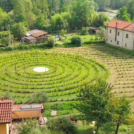 Agriturismo Il Poderetto Licciana Nardi エクステリア 写真
