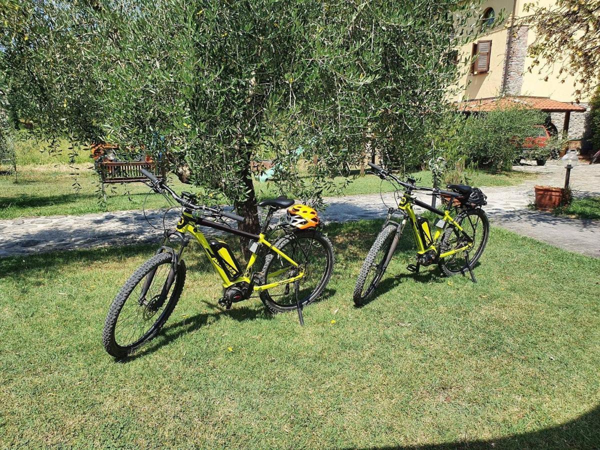 Agriturismo Il Poderetto Licciana Nardi エクステリア 写真