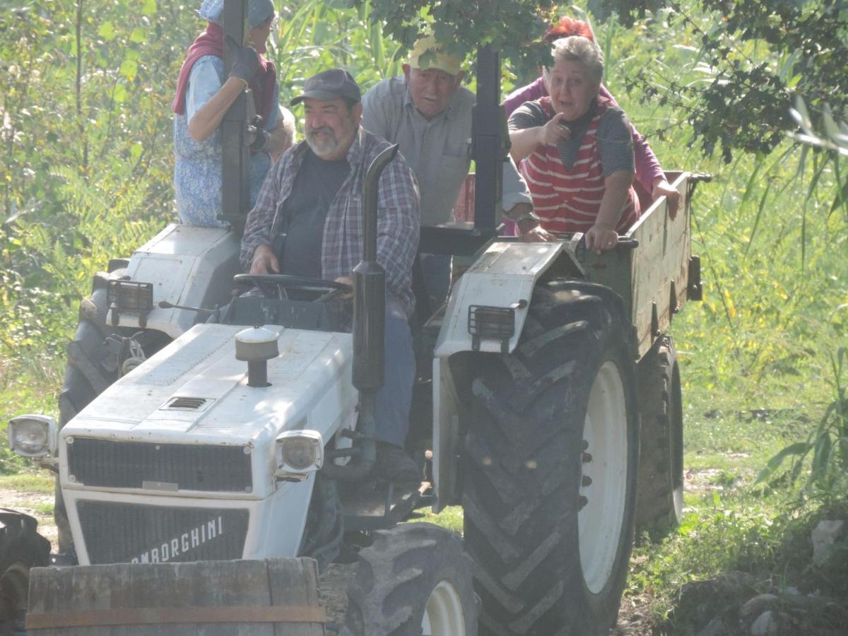 Agriturismo Il Poderetto Licciana Nardi エクステリア 写真