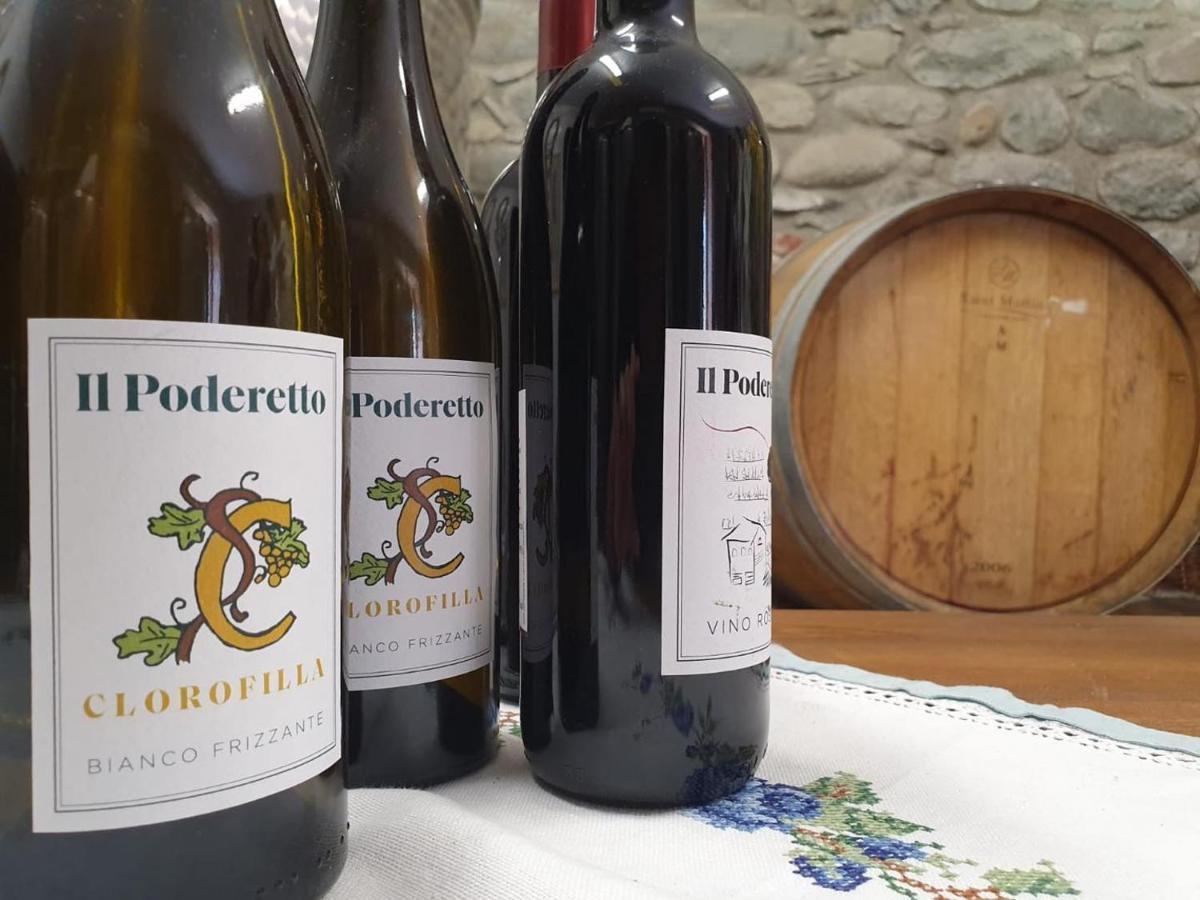 Agriturismo Il Poderetto Licciana Nardi エクステリア 写真