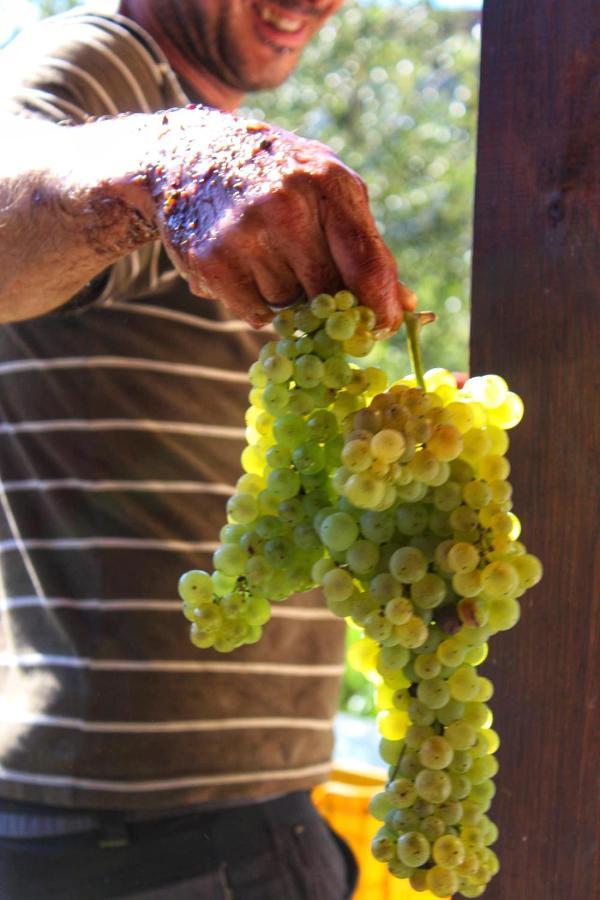 Agriturismo Il Poderetto Licciana Nardi エクステリア 写真