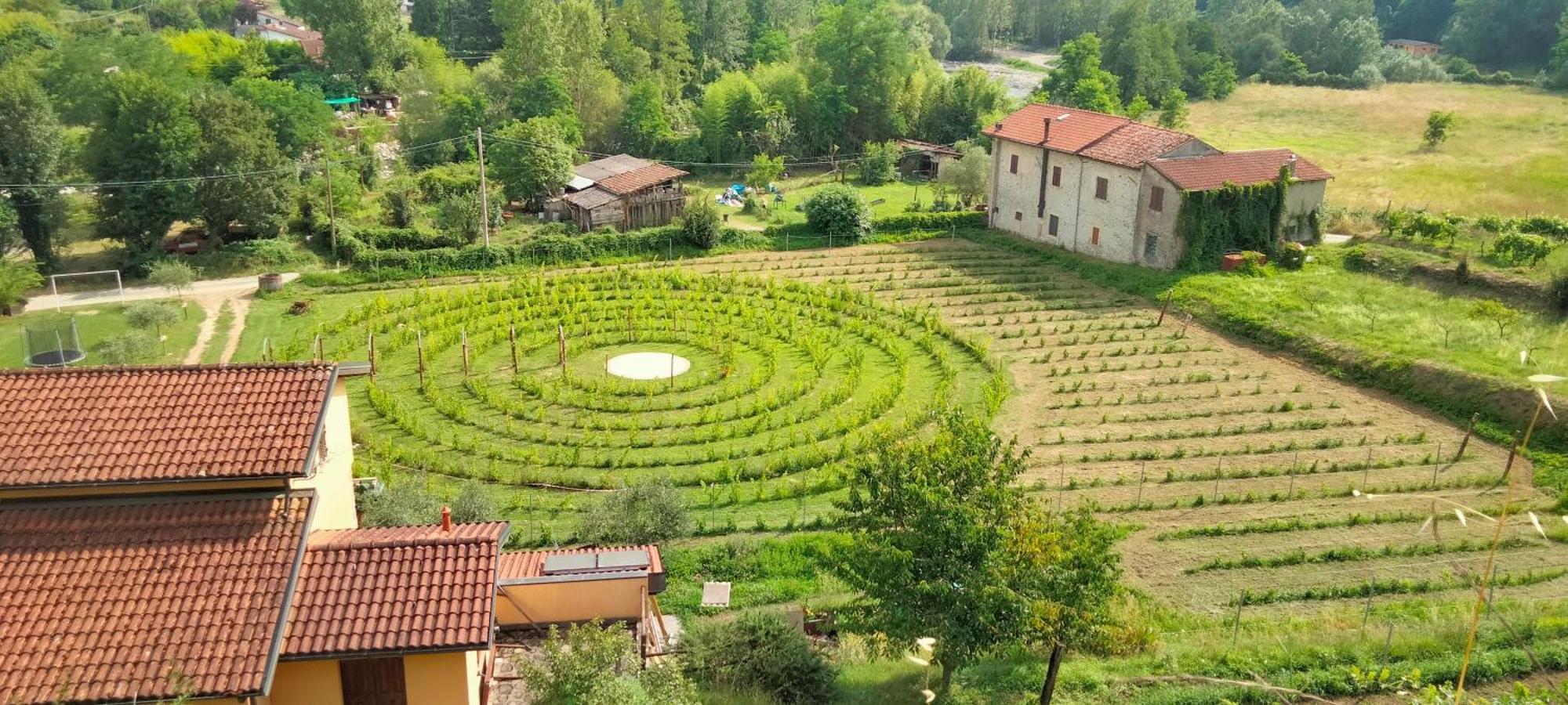 Agriturismo Il Poderetto Licciana Nardi エクステリア 写真