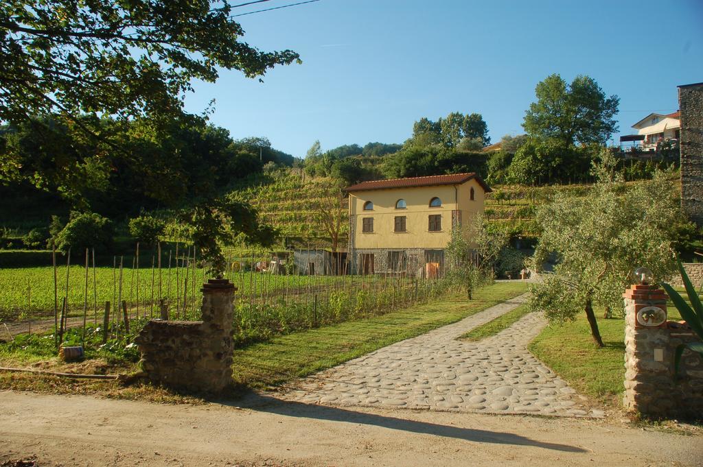 Agriturismo Il Poderetto Licciana Nardi エクステリア 写真