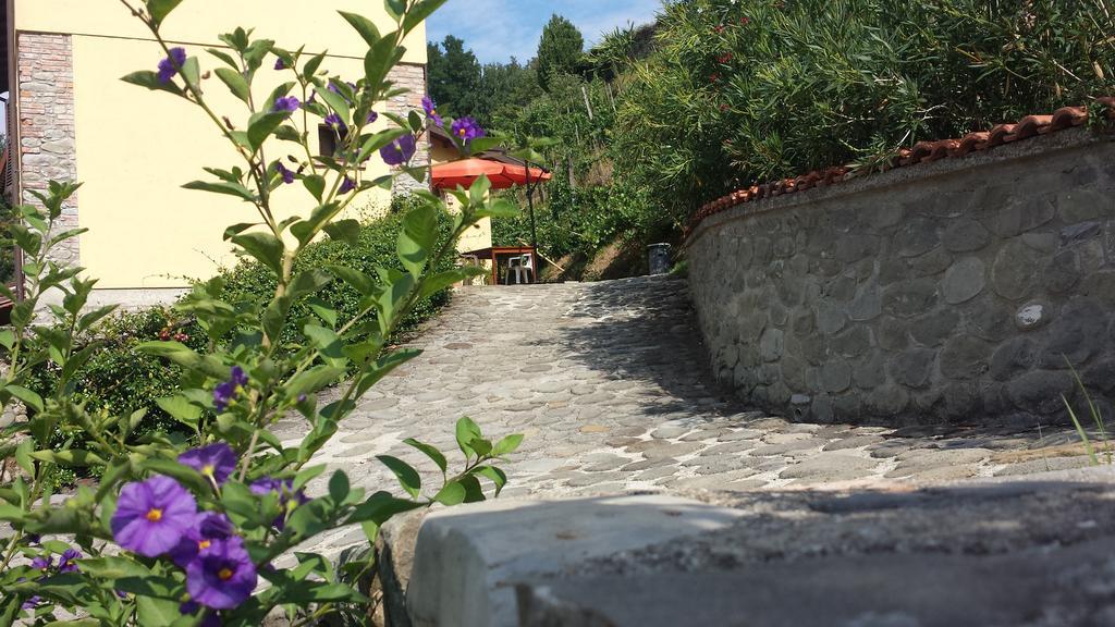 Agriturismo Il Poderetto Licciana Nardi エクステリア 写真